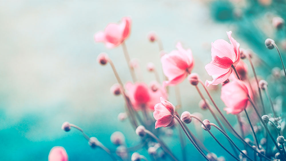 Billede til nyheden Lidt flere fridage til lønmodtagerne i 2023