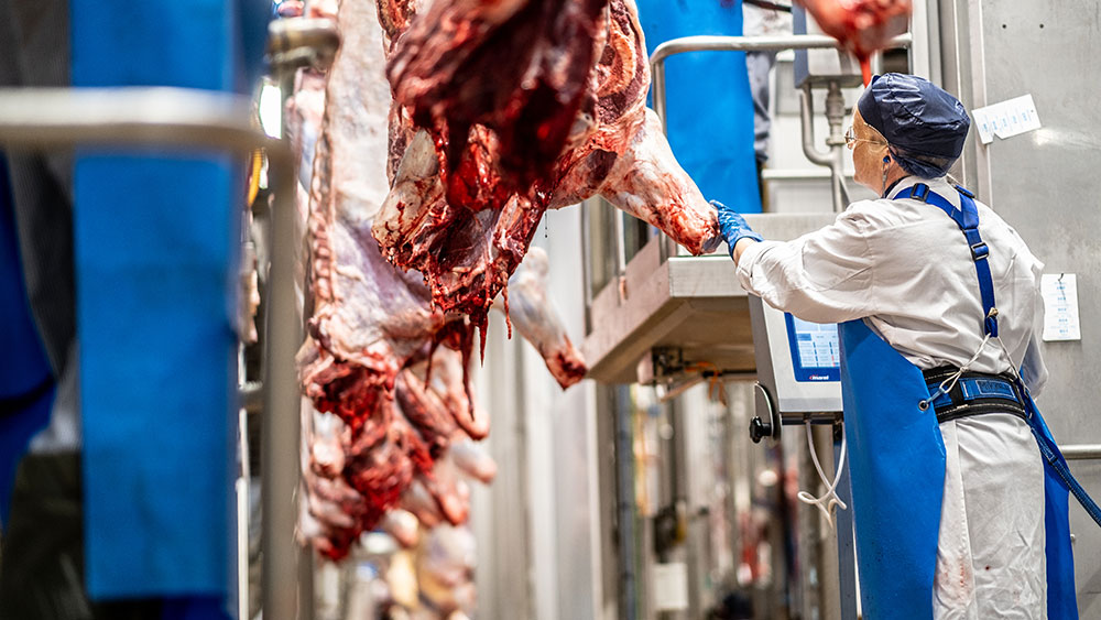 Billede til nyheden Faglærte kommer hurtigst i job