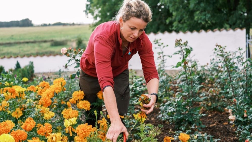 Billede til nyheden TR fra Serviceforbundet er del af ny særudstilling om tillidsrepræsentanter