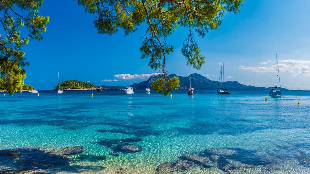 Billede til den relaterede nyhed PlusBoost!